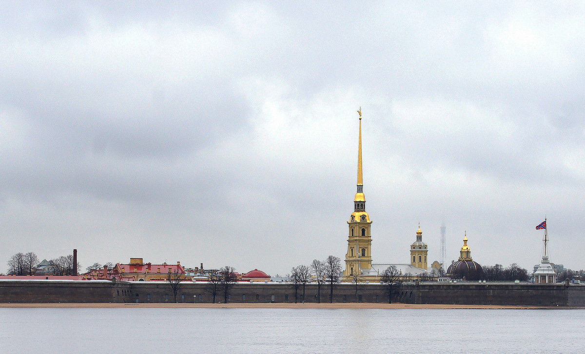 С Дворцовой набережной - ПетровичЪ,Владимир Гультяев