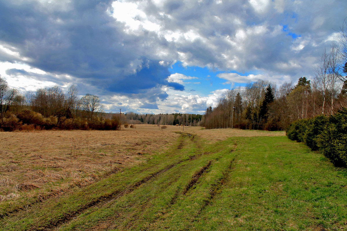 Живописная весна - Марина Шубина