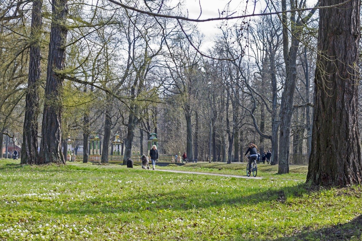 в весеннем парке - Владимир Фомин