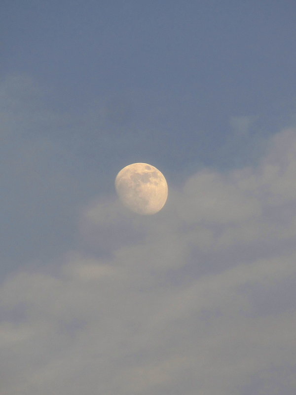 IMG_7044 - Луна плыла - Андрей Лукьянов