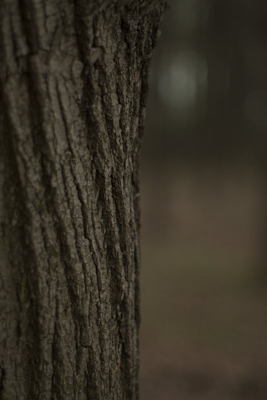 Красота в простате - Андрей Михайлин