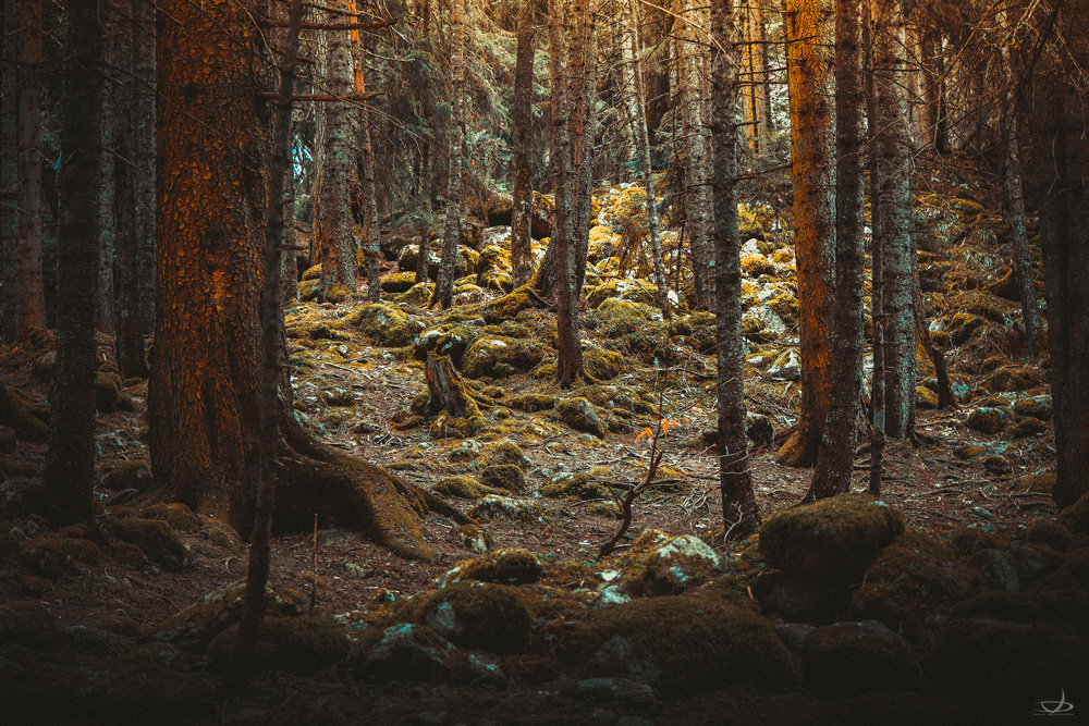 Ktc - Дмитрий Веременников