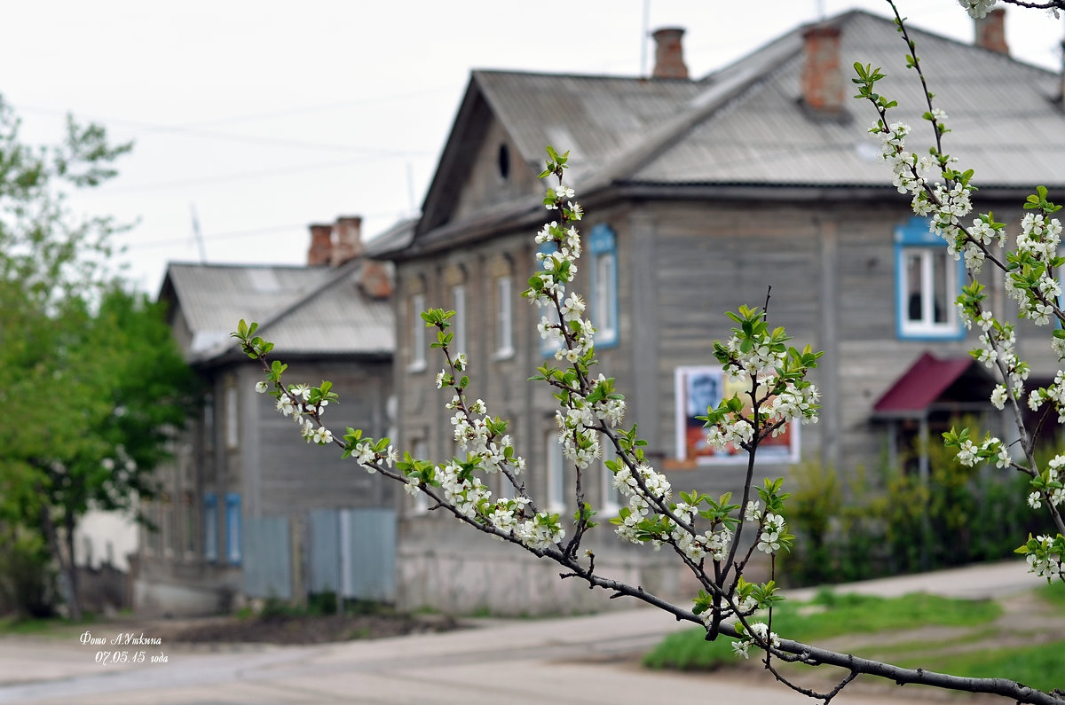 *** - Анатолий Уткин