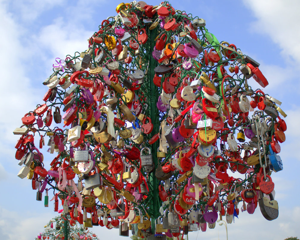 Железное дерево - Отто Шельник Железное дерево - Отто Шельник