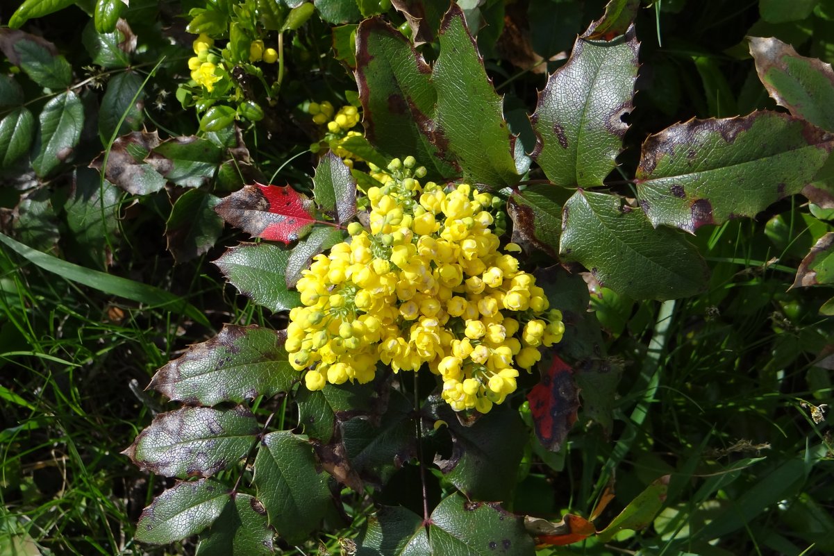 +++ - Юрий Владимирович 34