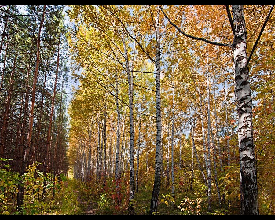 Природа - Nn semonov_nn