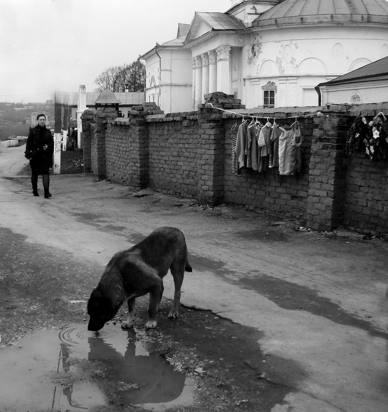 жажда.... - павел Труханов