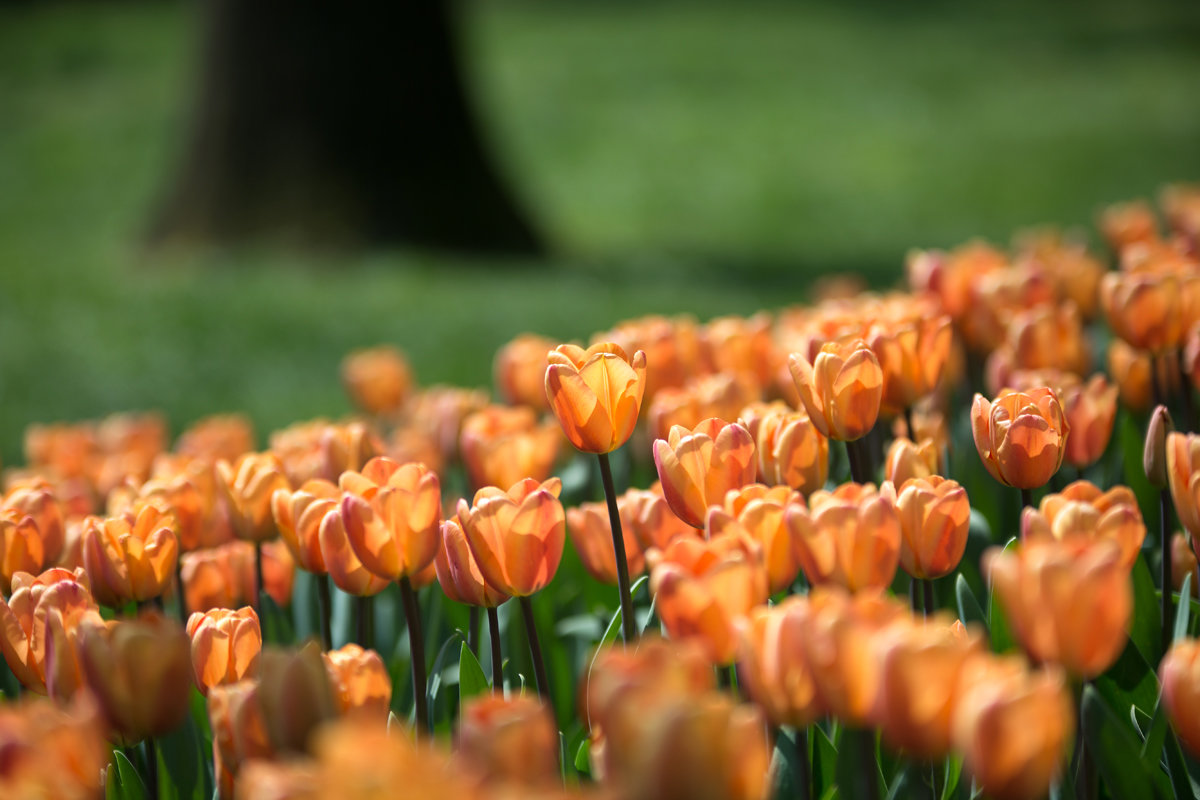 ... - Марат Рысбеков ... - Марат Рысбеков