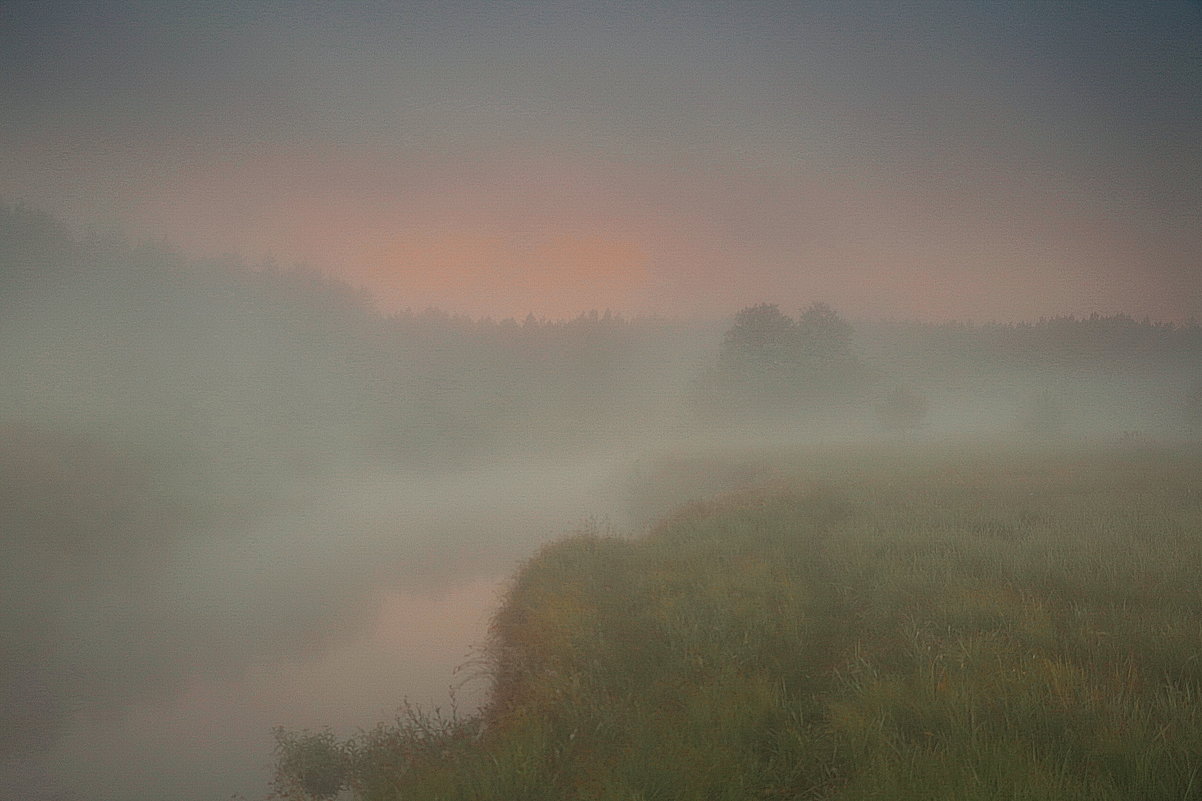 Туман упал - Валерий Козуб 