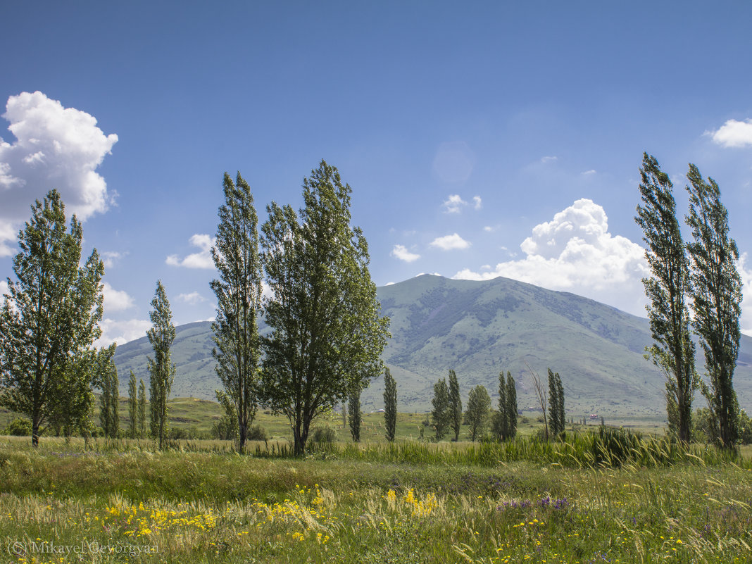 Ara Ler  Armenia - Mikayel Gevorgyan