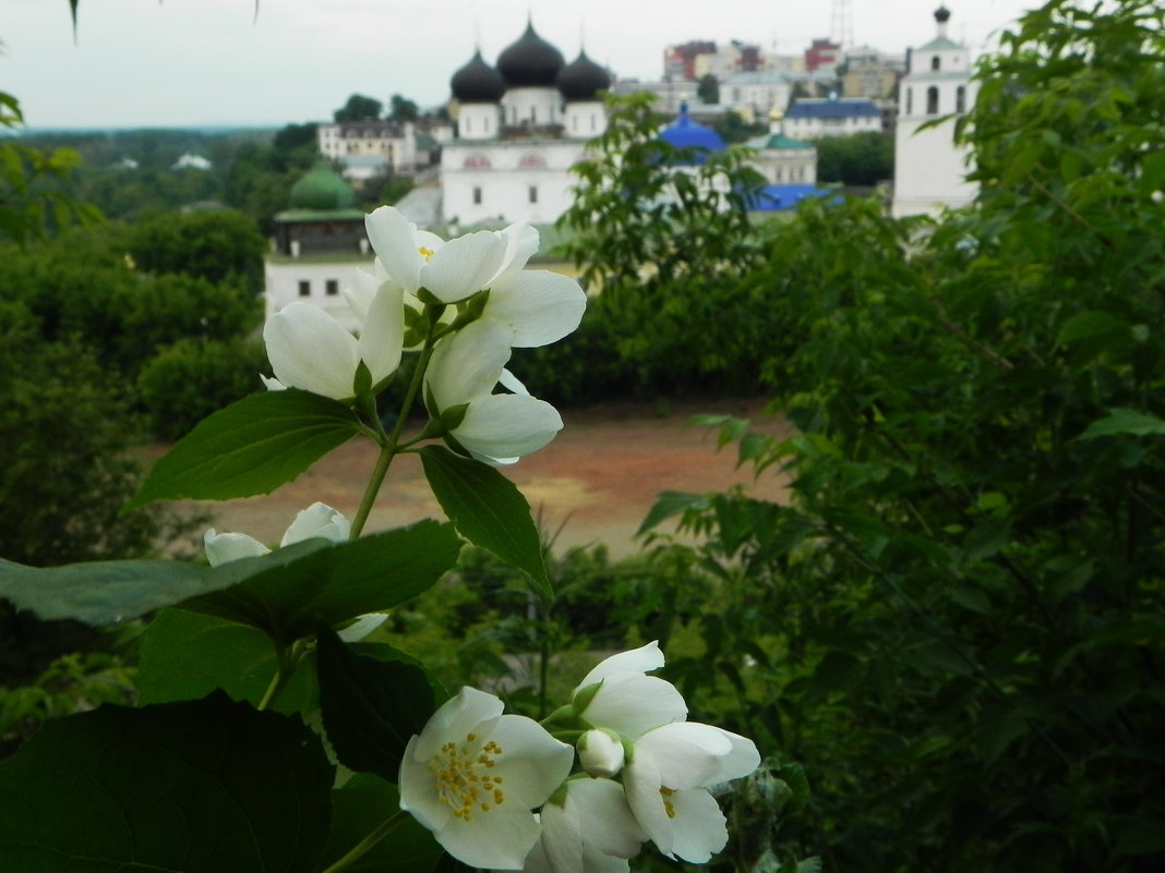 Киров (Вятка). ТРифонов монастырь. - Дмитрий 