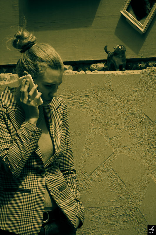 *** - Николай Таран 