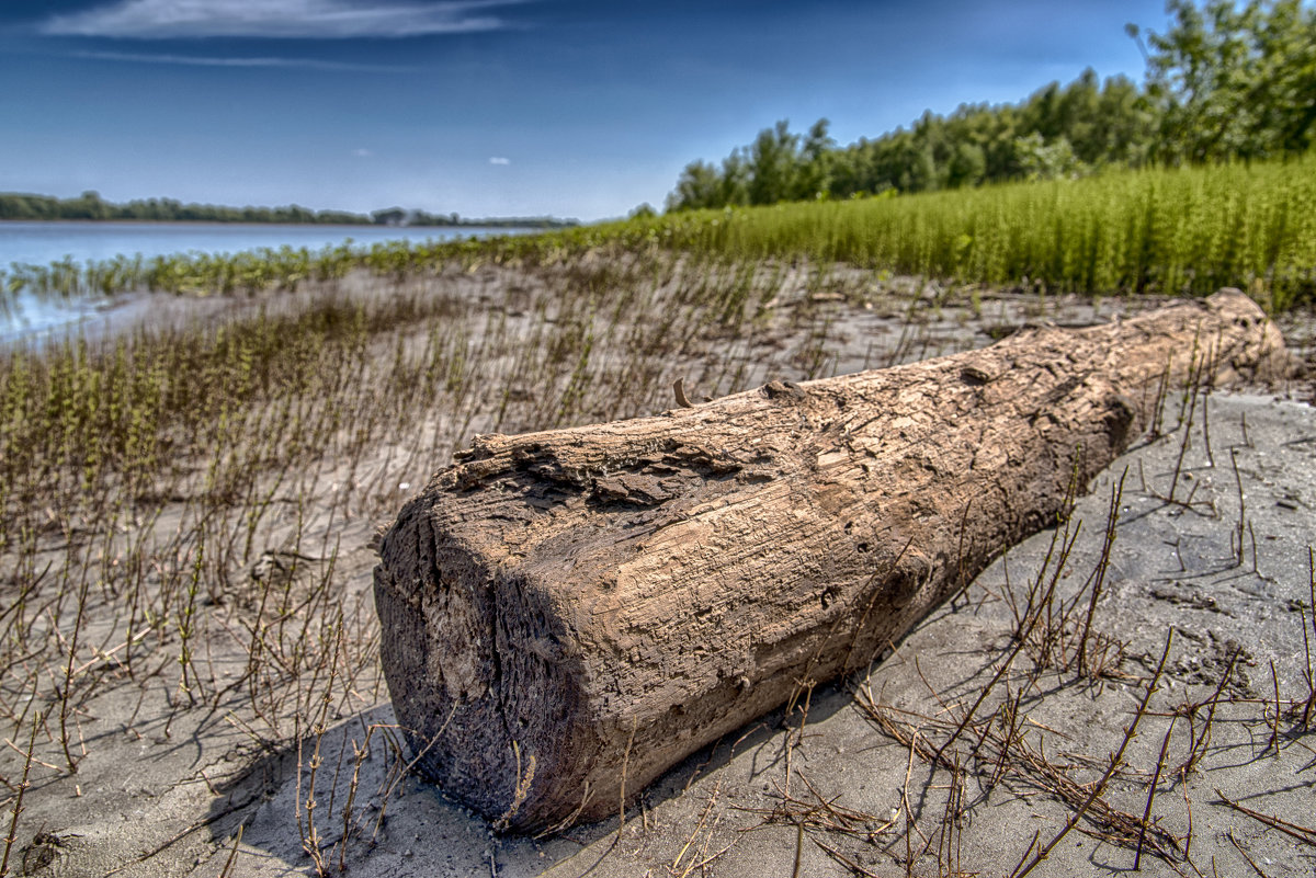 Берег - Максим Бородин
