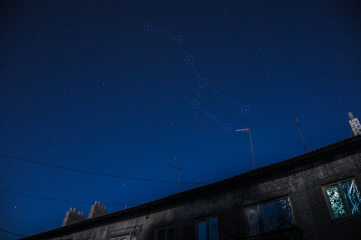 МЕДВЕДИЦА - Алексей Фотограф Михайловка МЕДВЕДИЦА - Алексей Фотограф Михайловка