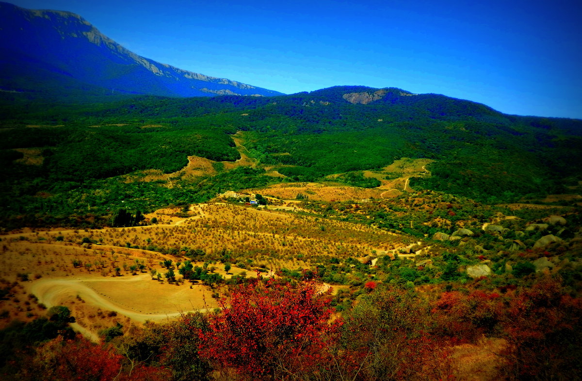 ОСЕНЬ  В  КРЫМУ - неля  тулузова 