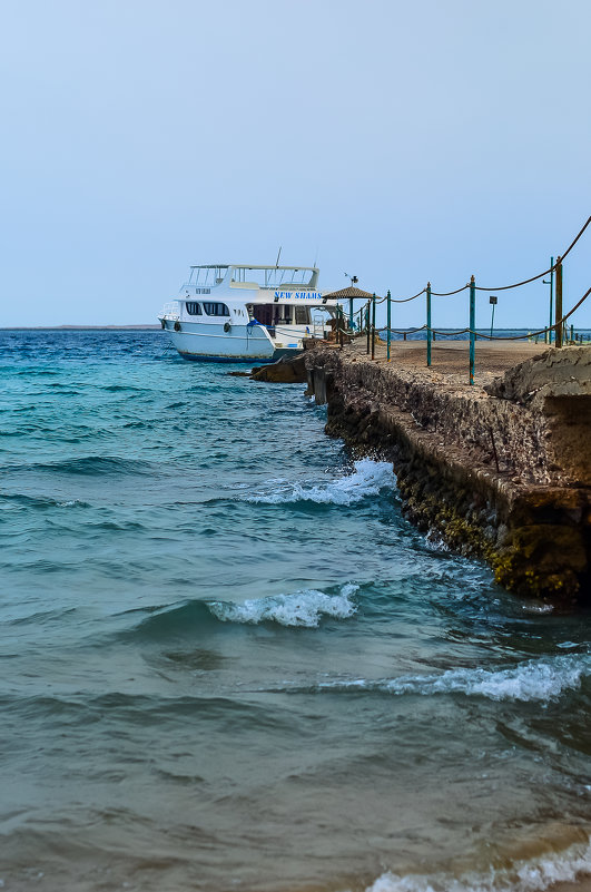 Красное море - Ксения Базарова