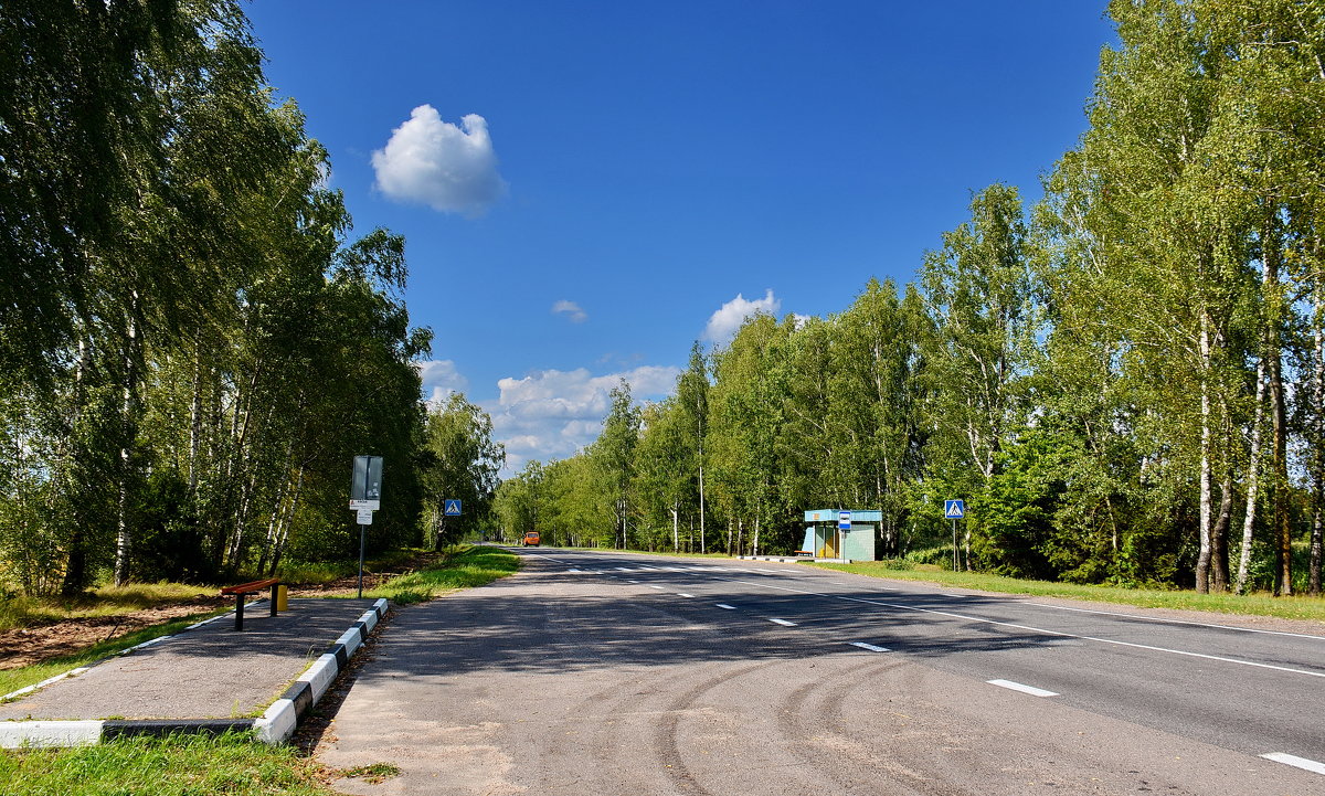 На  Бобруйск. - Валера39 Василевский.