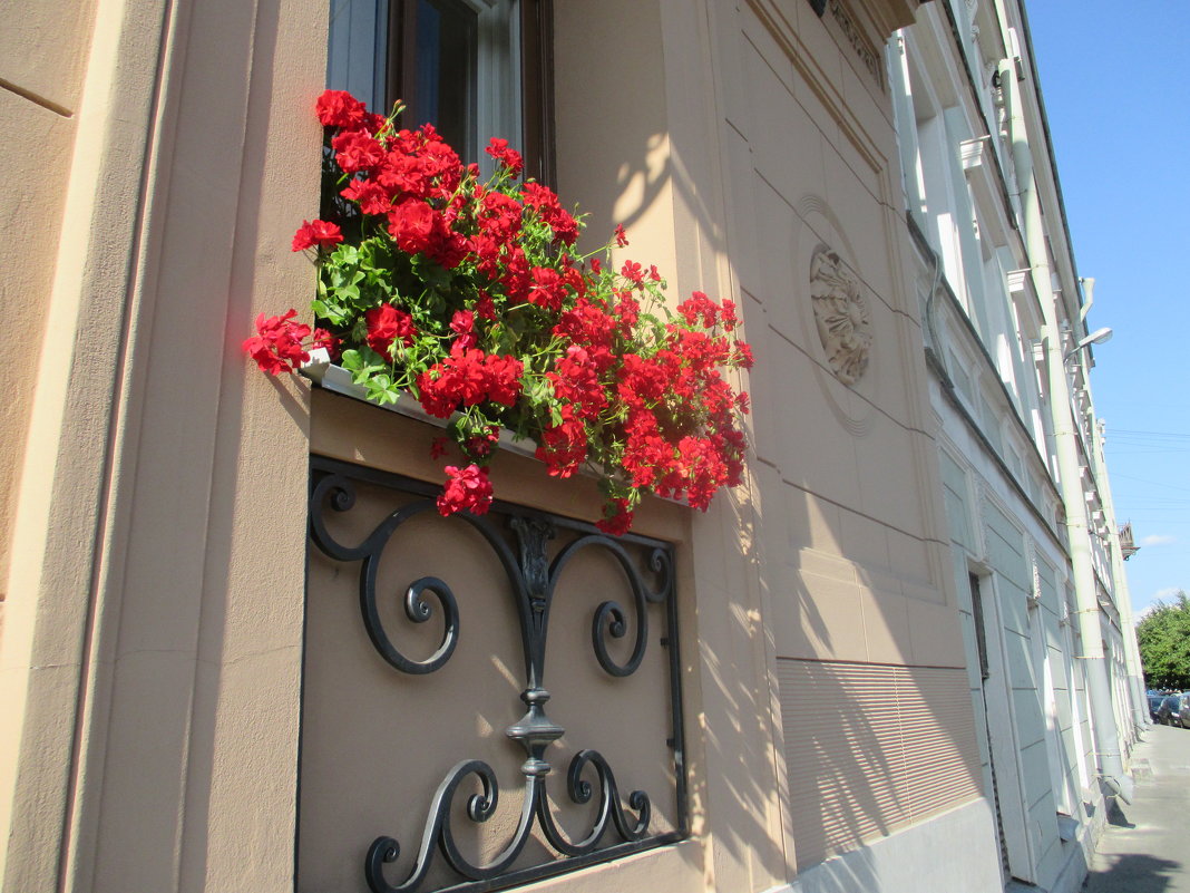 Питер - Юлия 