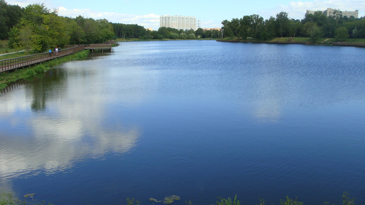 А небо синее в глади пруда - Iri_S (Ирина Саянова)