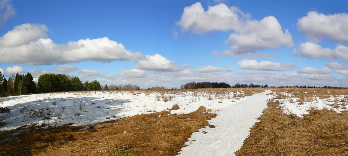 Ранняя весна. - Анатолий Борисов