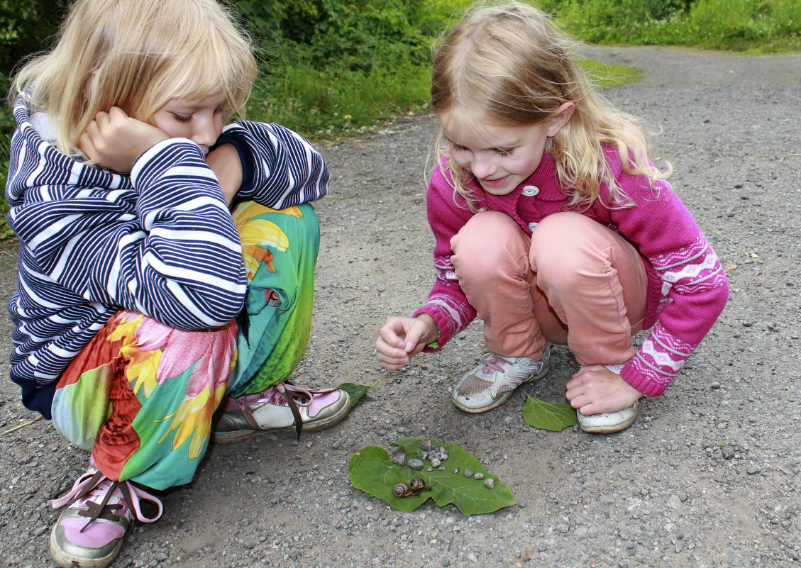 наблюдатели - Татьяна Гузева