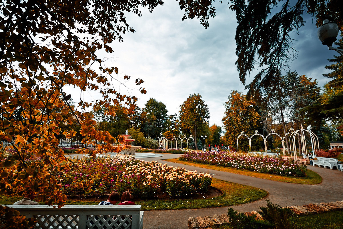 ЦПКиО. Москва. - Виктор Ноговицин