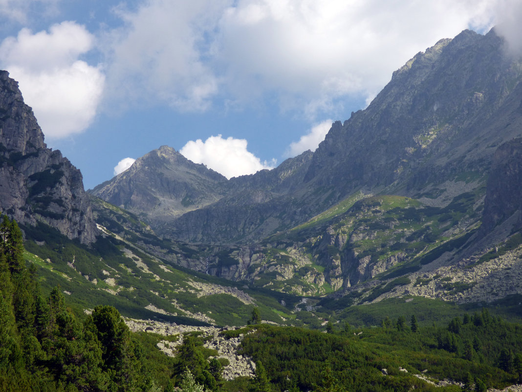 The Mountains, Mountains! - Roman Ilnytskyi