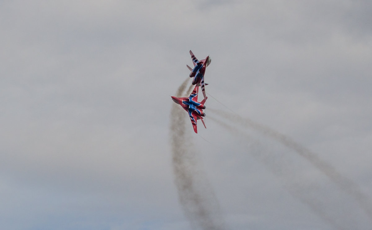 Стрижи в Барнауле. Танцы. - Сергей Перегудов Стрижи в Барнауле. Танцы. - Сергей Перегудов