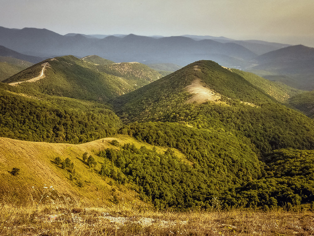 *** - Александр Рамус