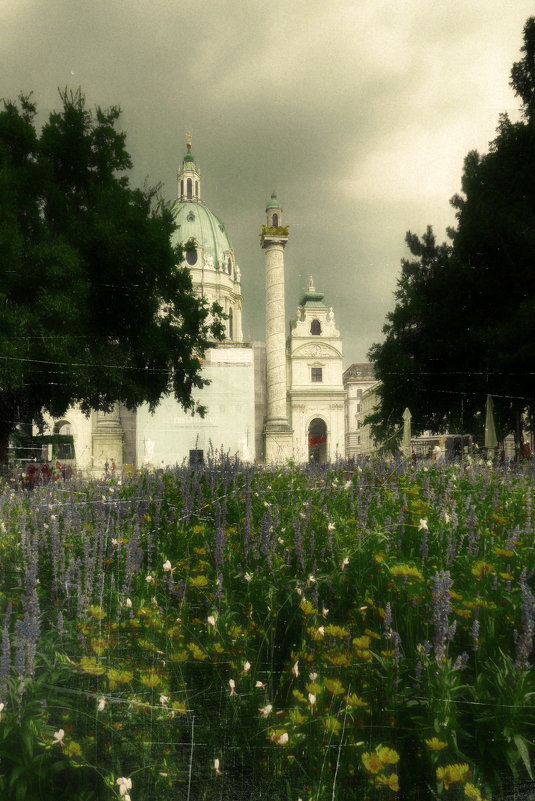 Wien - TATIANA TSARKOVA