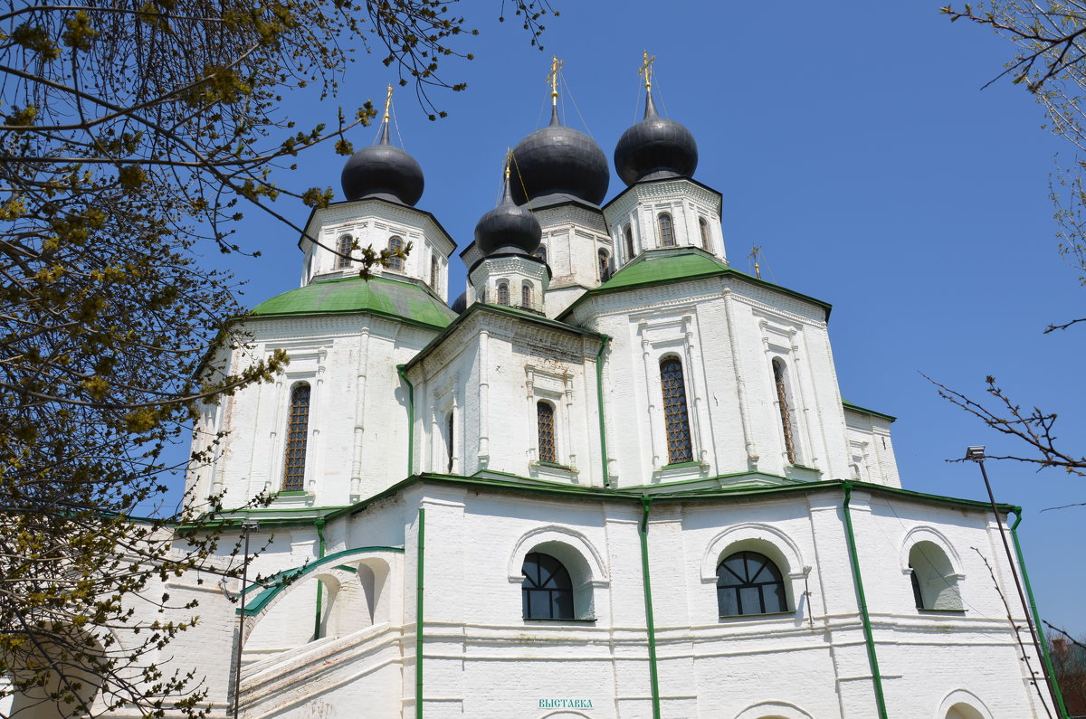 Ростовская область, Аксайский р-н, станица Старочеркасская, - Наталья Мельникова