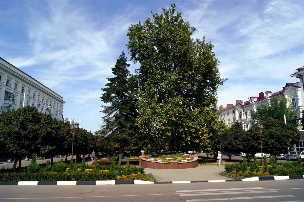 В городе Армавир - Игорь Сикорский