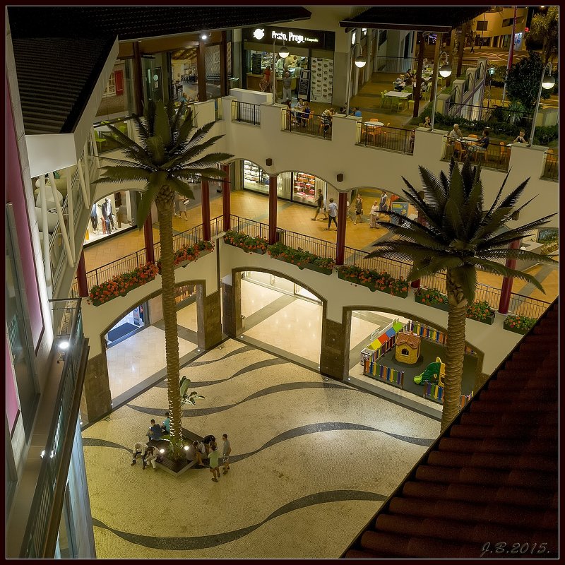 Madeira, Forum. - Jossif Braschinsky