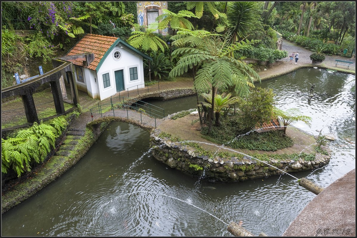 Madeira, with love. - Jossif Braschinsky