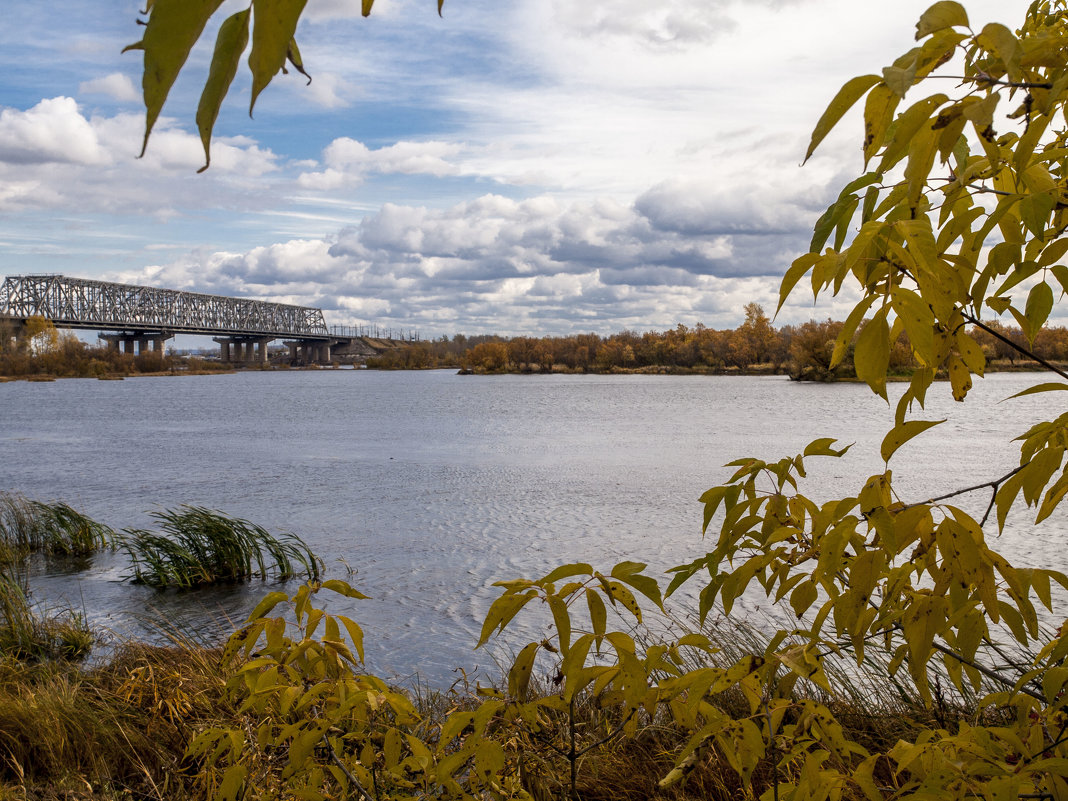 ... - Олег Мартоник ... - Олег Мартоник