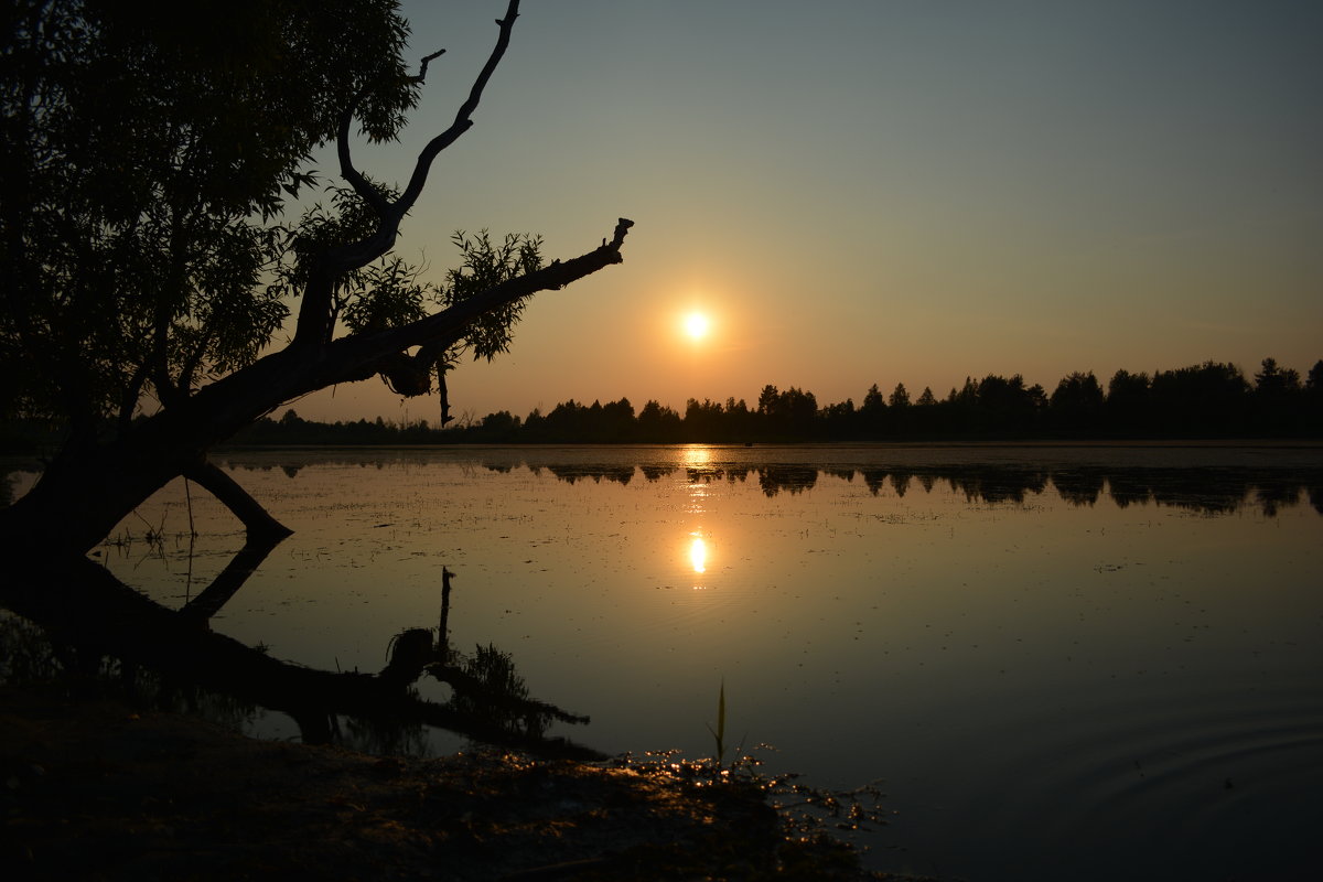 Водохранилище - Сергей Щеглов