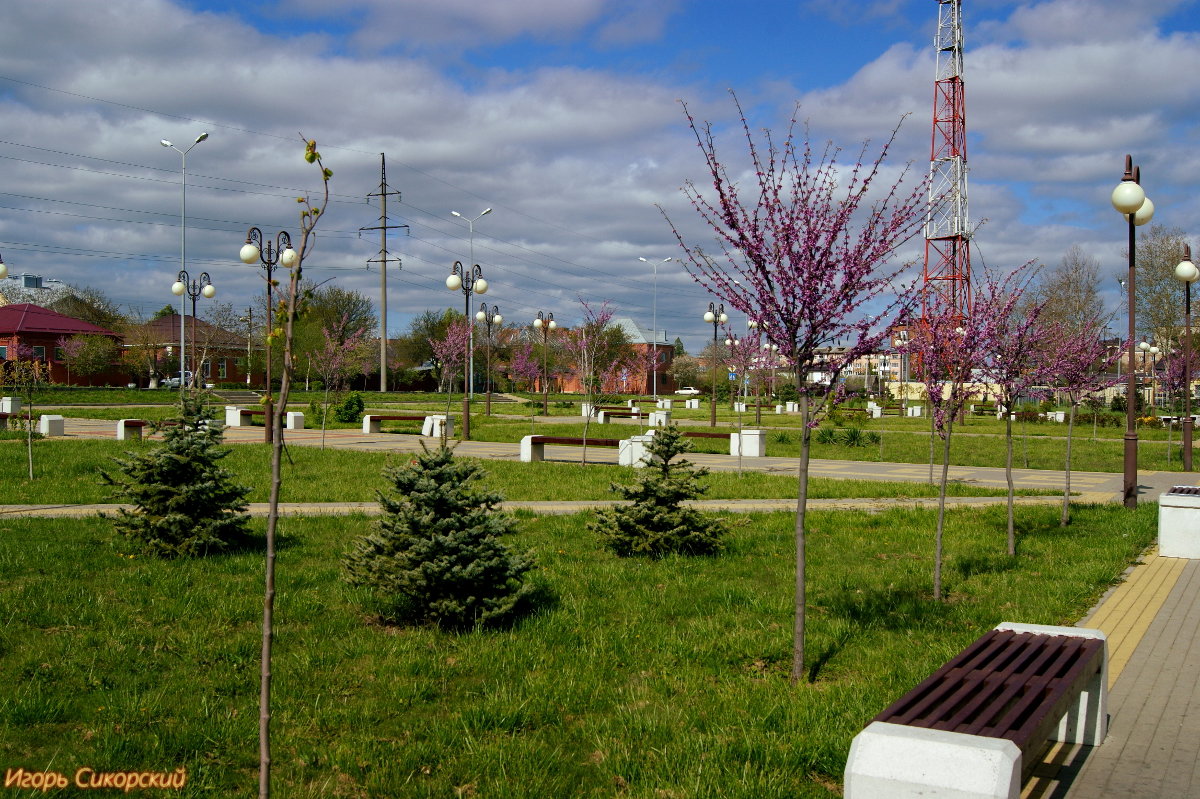 Весна в моем городе - Игорь Сикорский