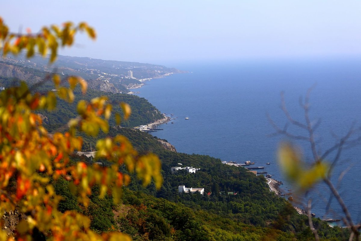 ЮБК - Александр Пчельников