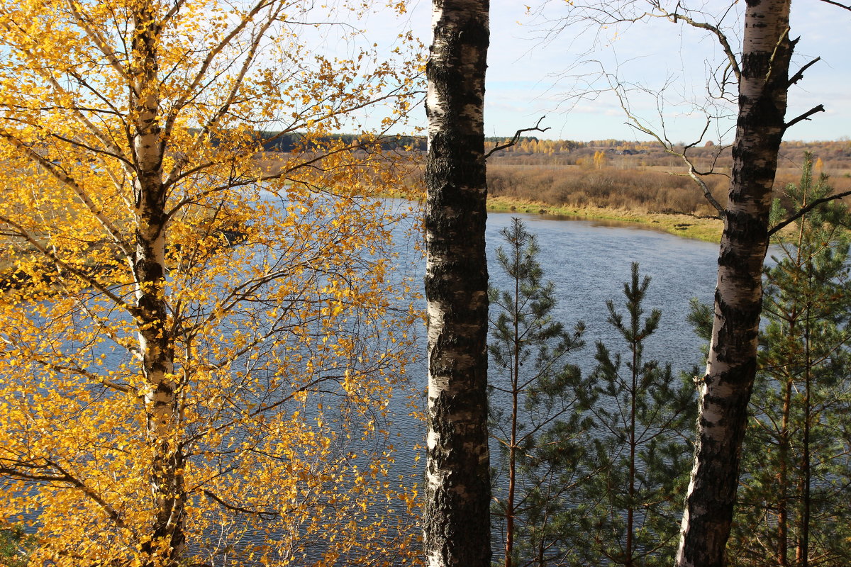 27.10.2015 Осень - Александр 