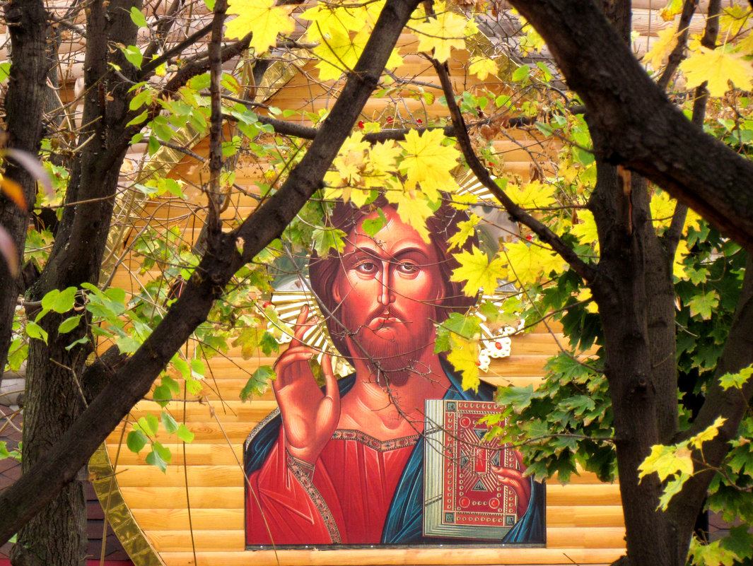 осень - Екатерина Силенко