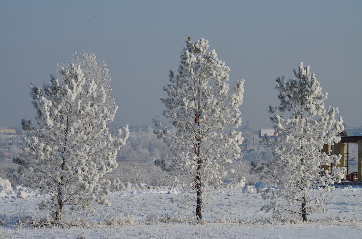 Омск-ноябрь - Savayr 