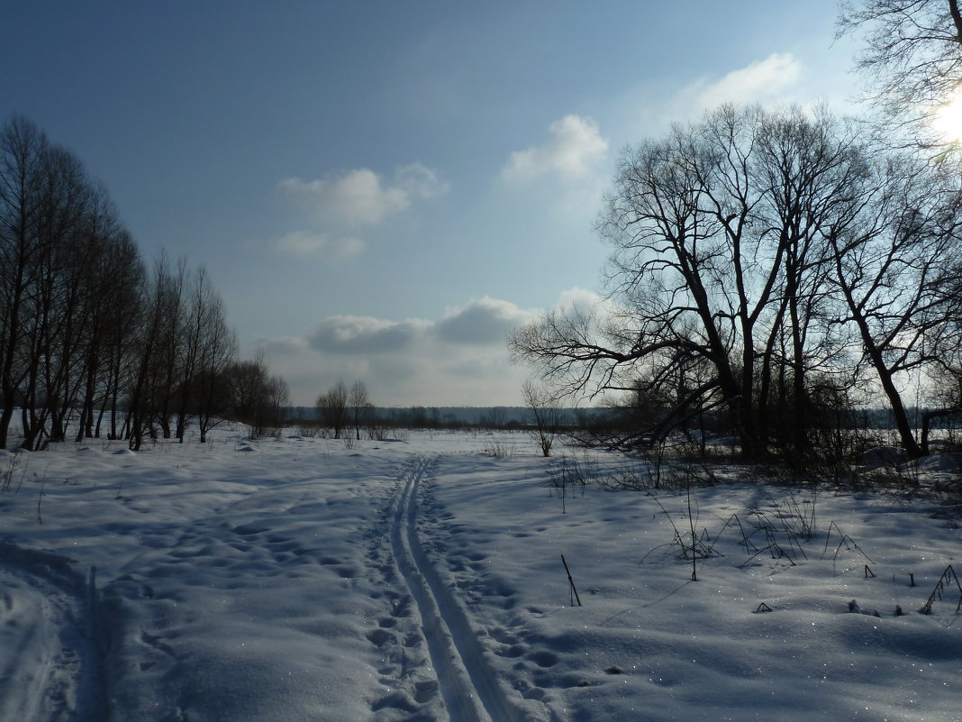 Утренняя лыжня. - Александр Атаулин