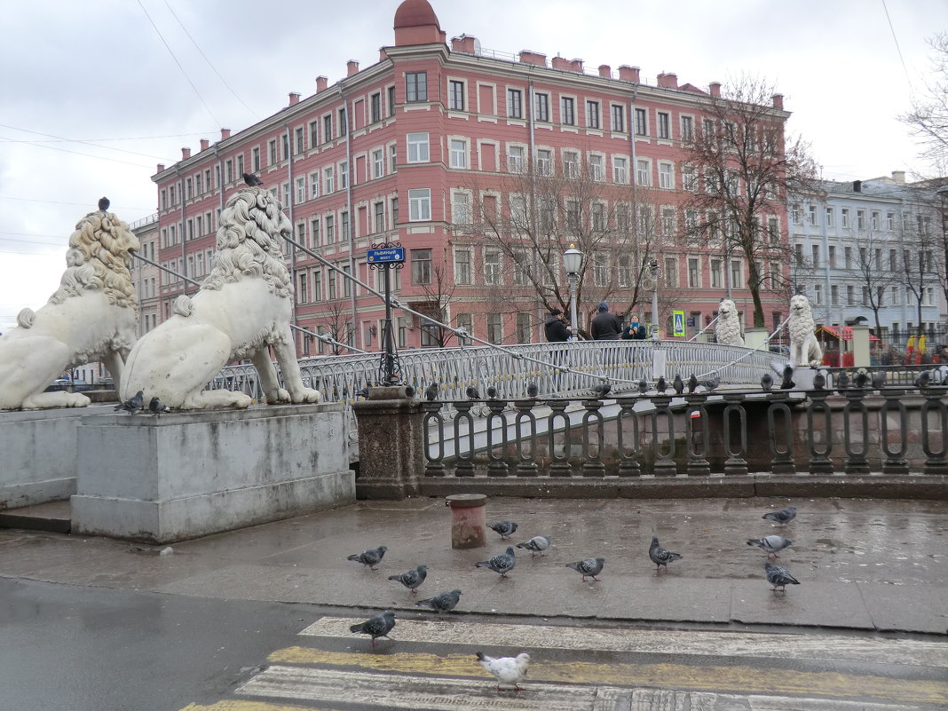 Санкт-Петербург. Львиный мост... - Владимир Павлов