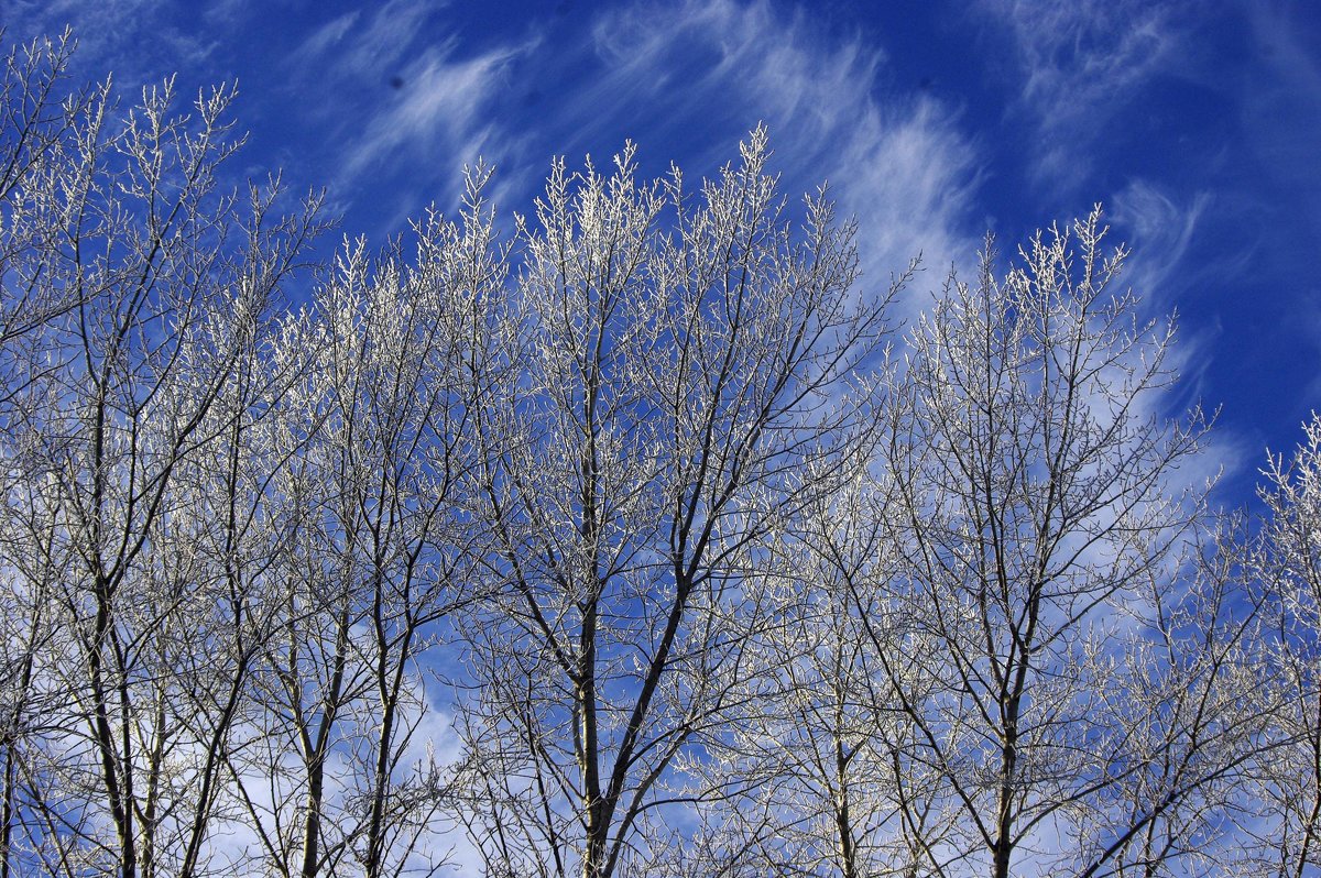 Иней и солнце - Юрий Рачек