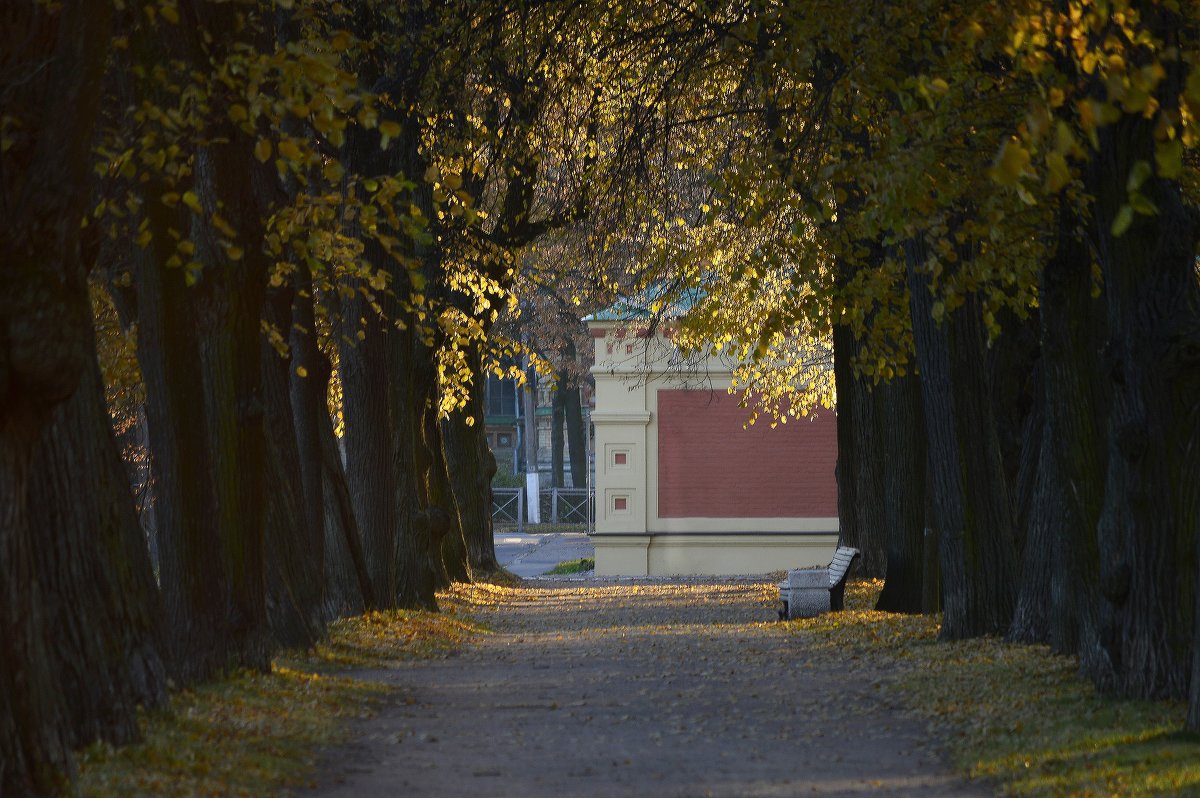 Вечер в Петергофе - Юрий Цыплятников Вечер в Петергофе - Юрий Цыплятников
