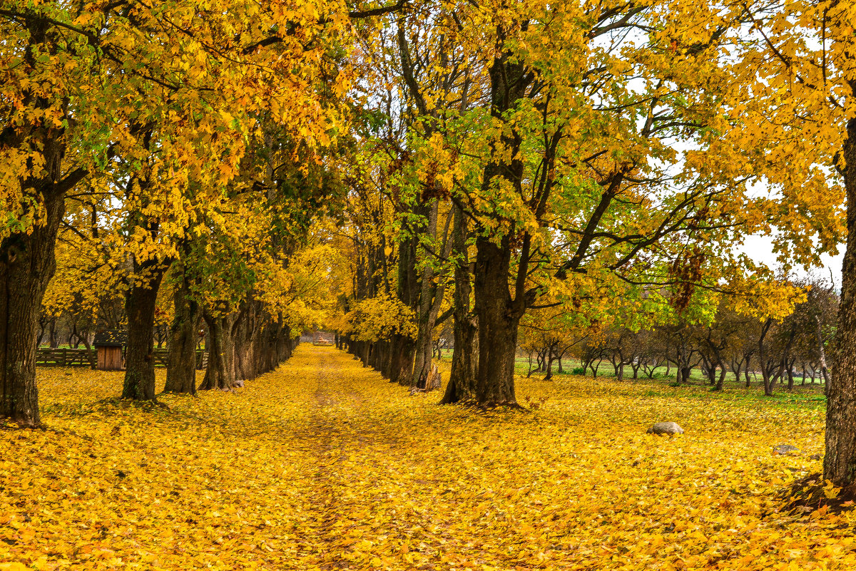 the territory of the monastery - Dima https://vk.com/sslassh313