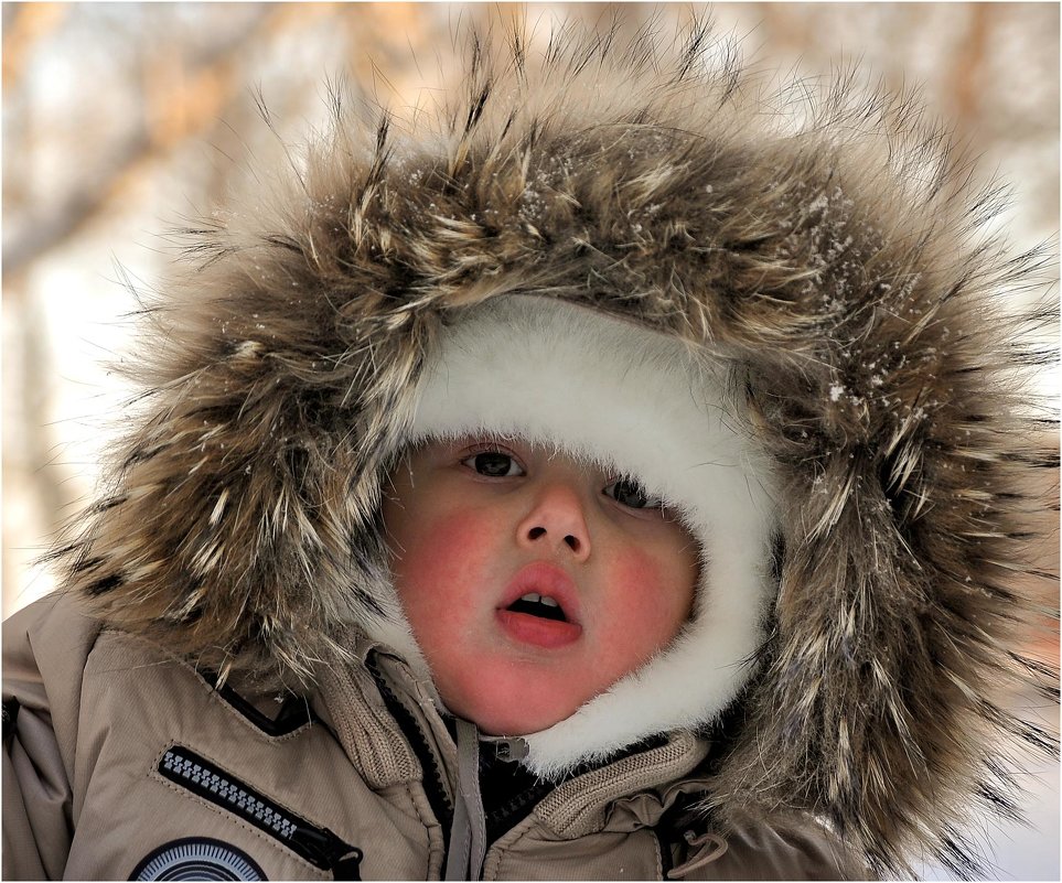 Сибирячок. - Владимир Сидоркин Сибирячок. - Владимир Сидоркин