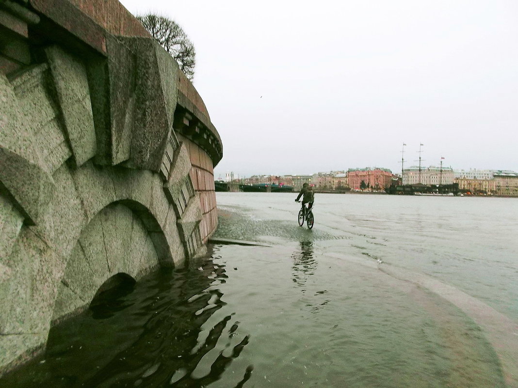 А нам ураганы нипочём! :) - Лия ☼ А нам ураганы нипочём! :) - Лия ☼