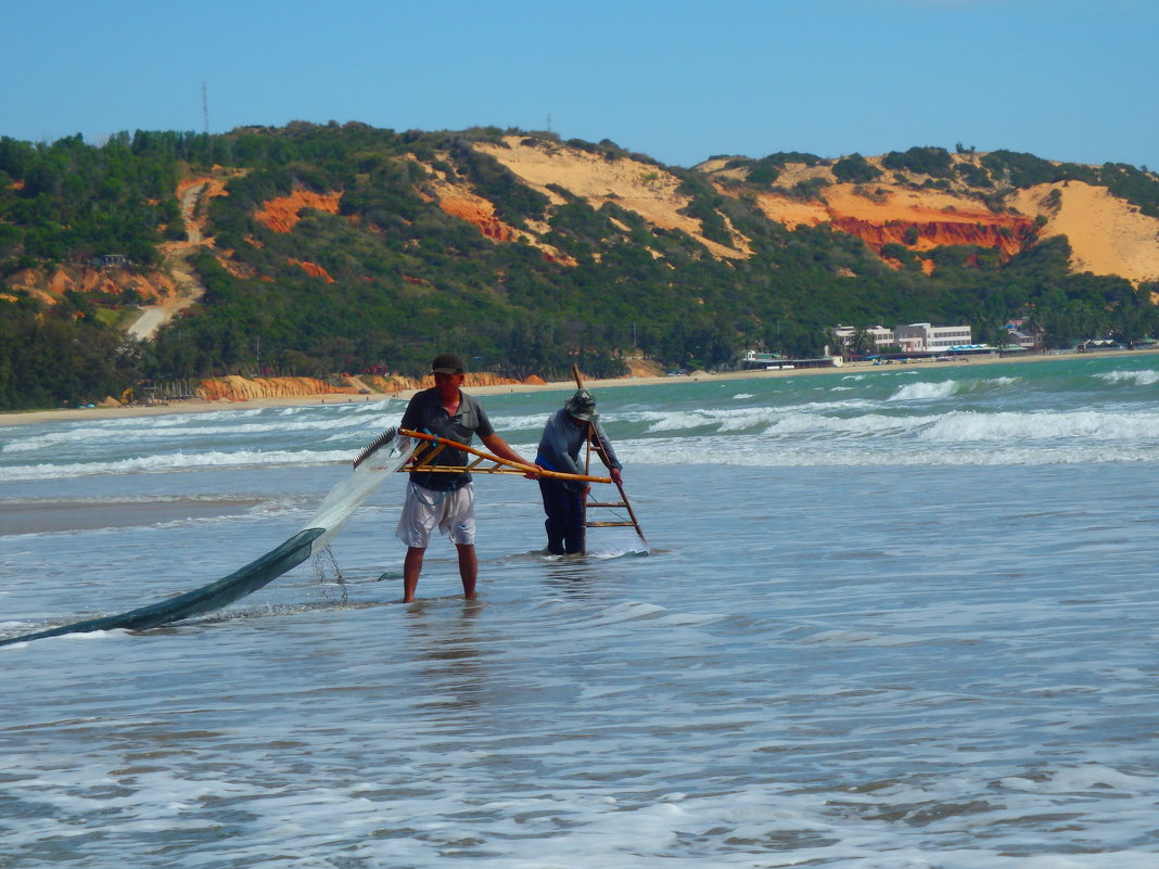 Ловцы улиток - Людмила Огнева Ловцы улиток - Людмила Огнева