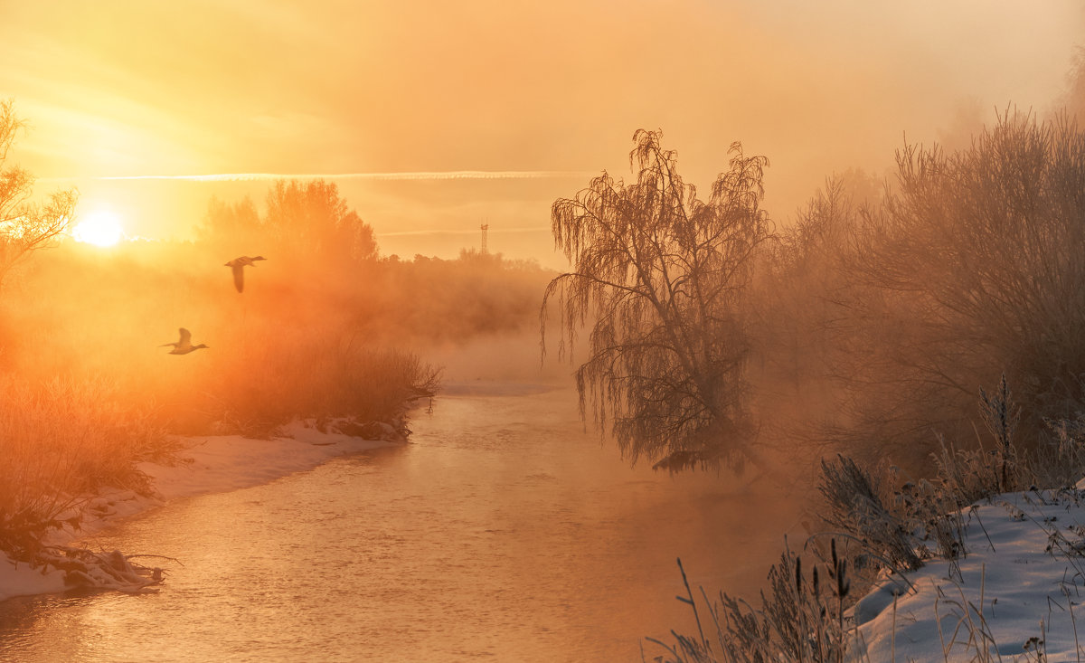 Рождение... - олег Рождение... - олег